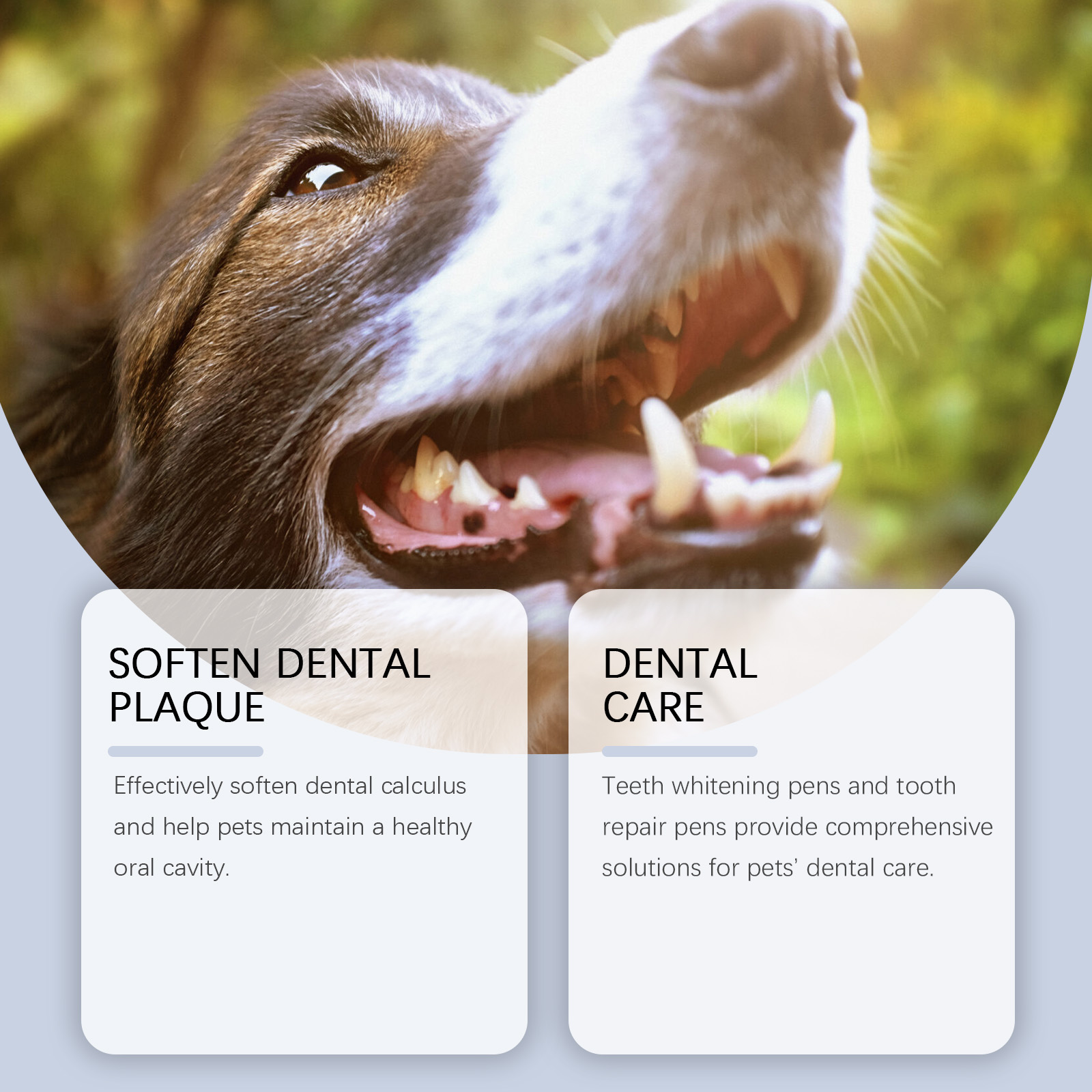 Ensemble de stylos blanchissan - Teeth Whitening Pens avis et prix
